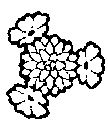 andros_logo.gif